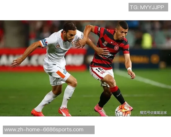 足球娱乐导航全方位解析助你畅享精彩赛事与娱乐体验